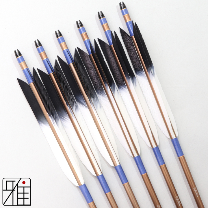 弓道 ジュラ矢 ターキー先黒染羽 2015茶|6本組|矧糸:青系|202088