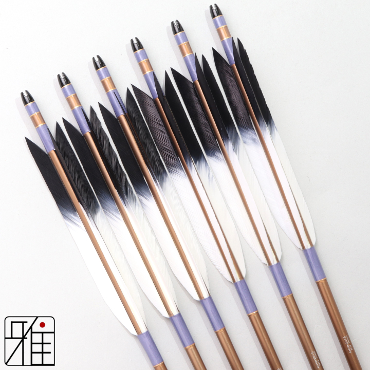 弓道 ジュラ矢 ターキー先黒染羽 2015茶|6本組|矧糸:紫系|202090