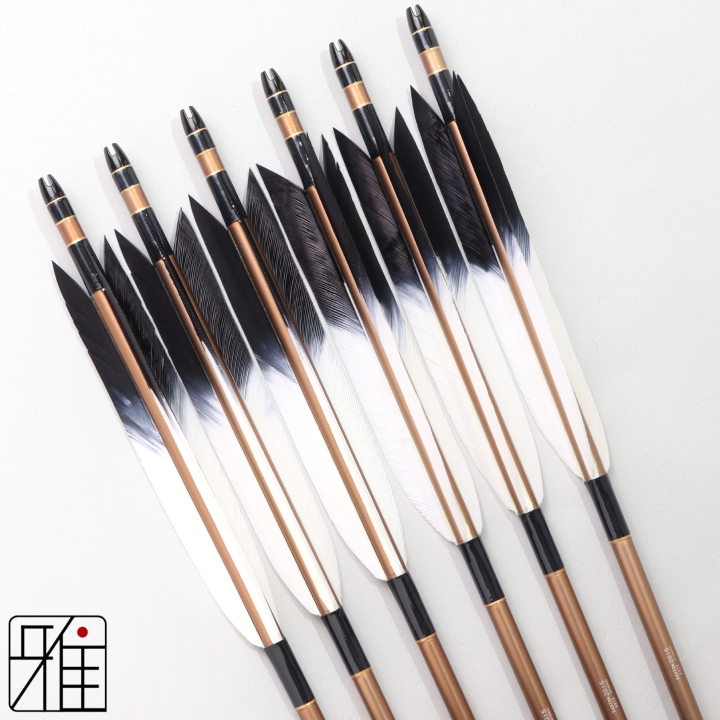 弓道 ジュラ矢 ターキー先黒染羽 2015茶|6本組|矧糸:黒系|202091