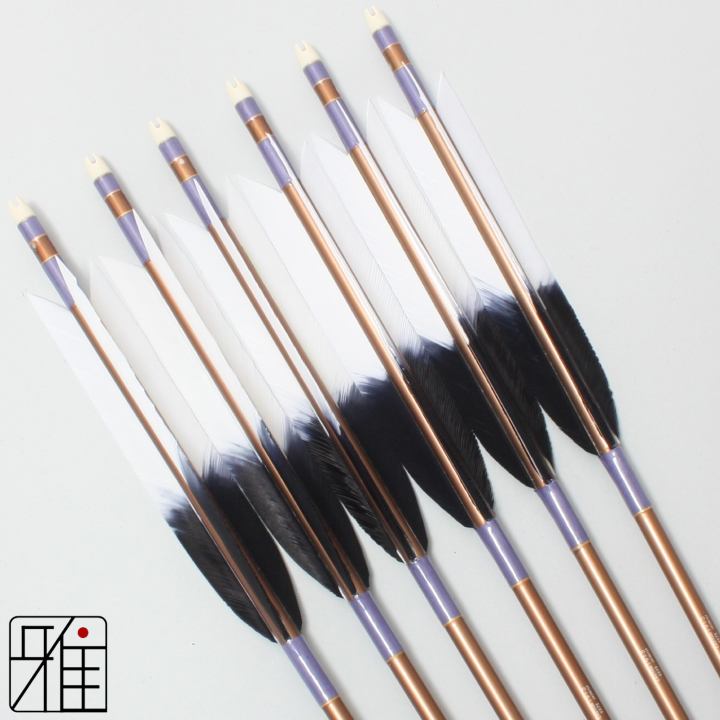 弓道 ジュラ矢 ターキー元黒染羽 1913茶|6本組|矧糸:紫系|19374