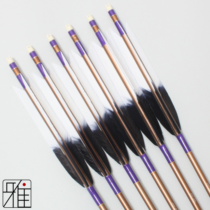 弓道 ジュラ矢 ターキー元黒染羽 1913茶|6本組|矧糸:紫系|19377