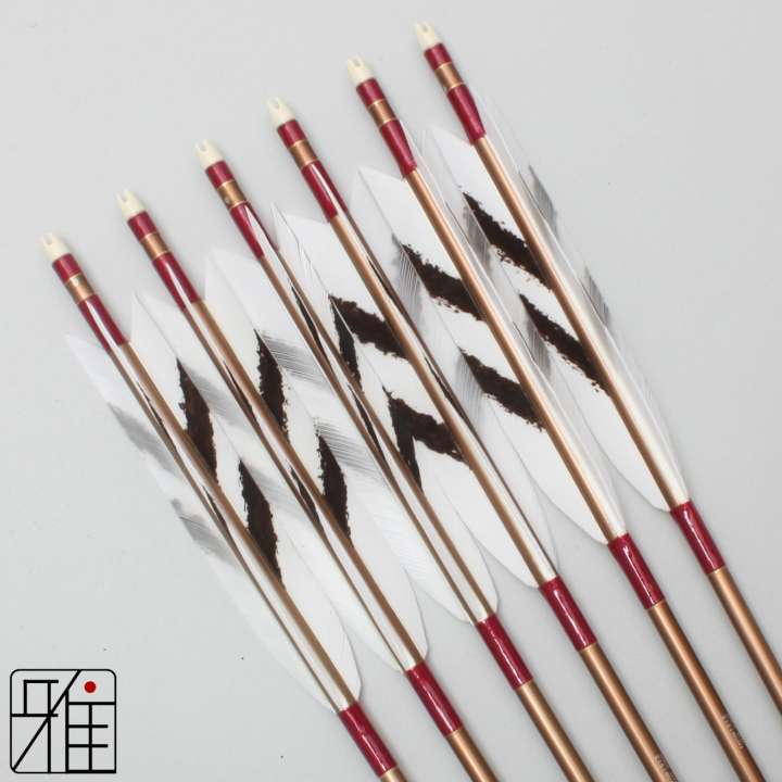 弓道 ジュラ矢 ターキー手描染羽 1913茶|6本組|矧糸:紫系|19424