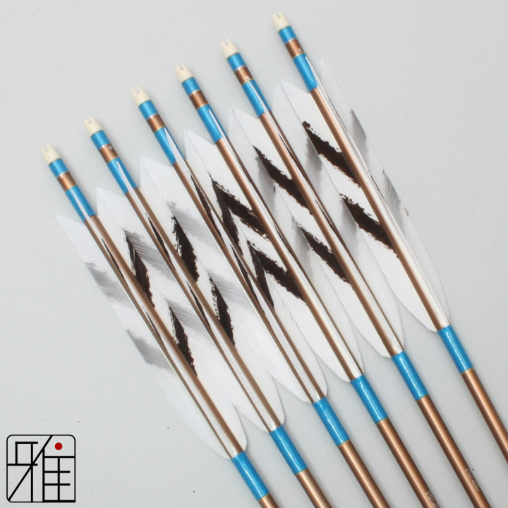 弓道 ジュラ矢 ターキー手描染羽 1913茶|6本組|矧糸:青系|19425