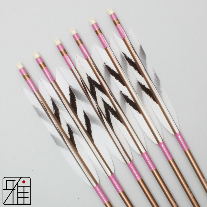 弓道 ジュラ矢 ターキー手描染羽 1913茶|6本組|矧糸:桃系|19426