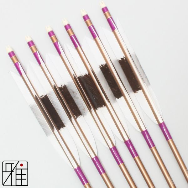 弓道 ジュラ矢 ターキー手描染羽 2015茶|6本組|矧糸:紫系|20164