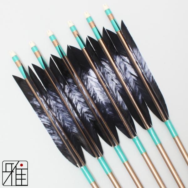 弓道 ジュラ矢 ターキー差斑染羽 1913茶|6本組|矧糸:緑系|19203