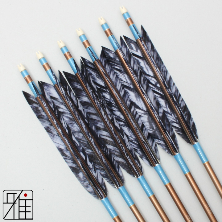 弓道 ジュラ矢 ターキー差斑染羽 1913茶|6本組|矧糸:青系|19436