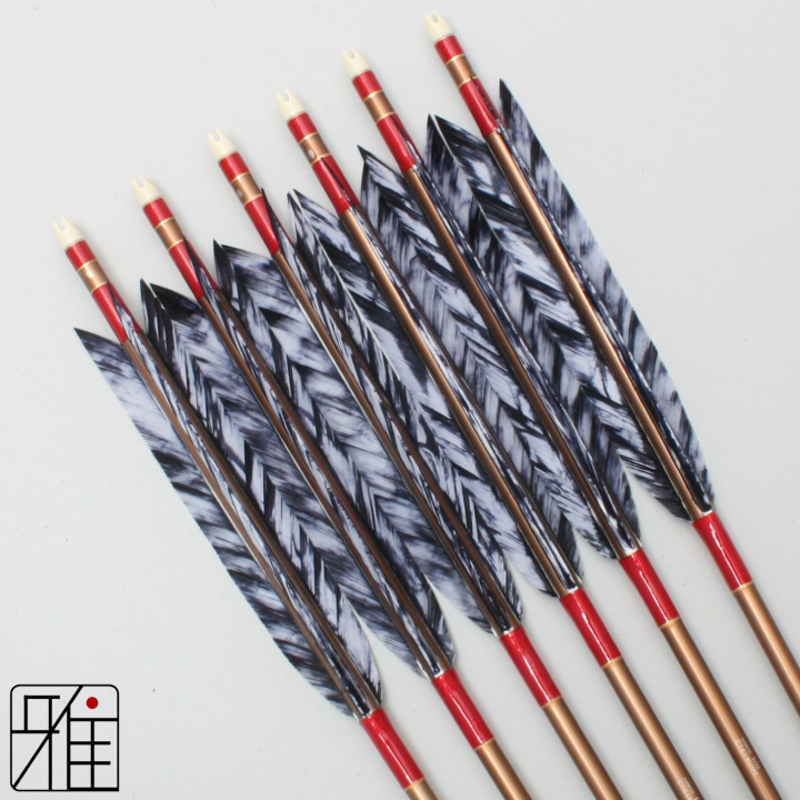 弓道 ジュラ矢 ターキー差斑染羽 1913茶|6本組|矧糸:赤系|19438