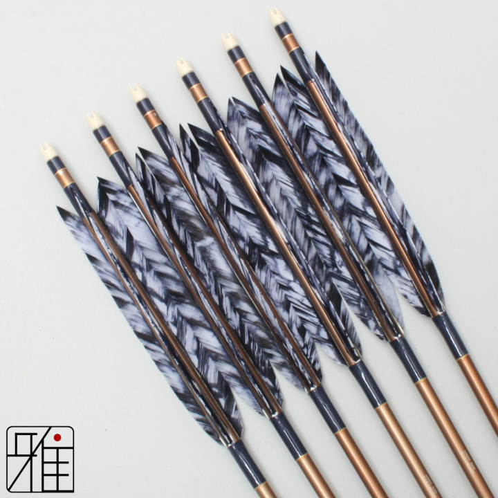 弓道 ジュラ矢 ターキー差斑染羽 1913茶|6本組|矧糸:青系|19441