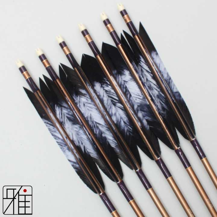 弓道 ジュラ矢 ターキー差斑染羽 1913茶|6本組|矧糸:紫系|19447