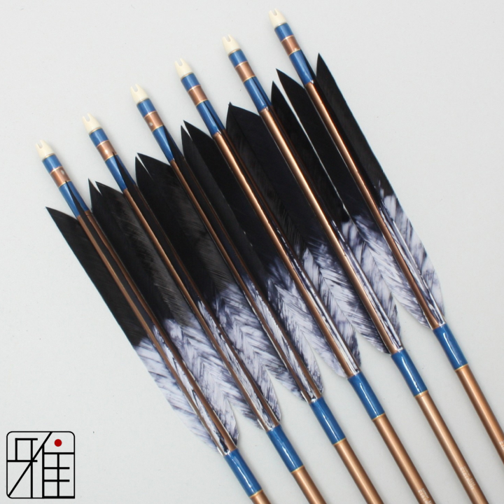 弓道 ジュラ矢 ターキー差斑染羽 1913茶|6本組|矧糸:青系|19451