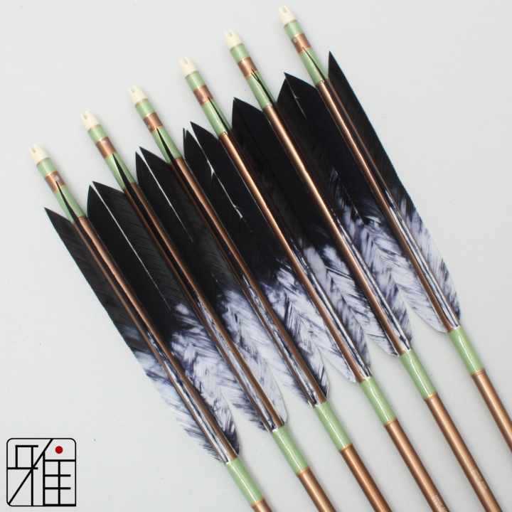 弓道 ジュラ矢 ターキー差斑染羽 1913茶|6本組|矧糸:緑系|19452