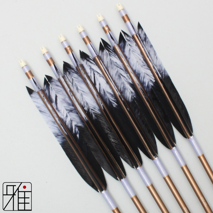 弓道 ジュラ矢 ターキー差斑染羽 1913茶|6本組|矧糸:紫系|19459