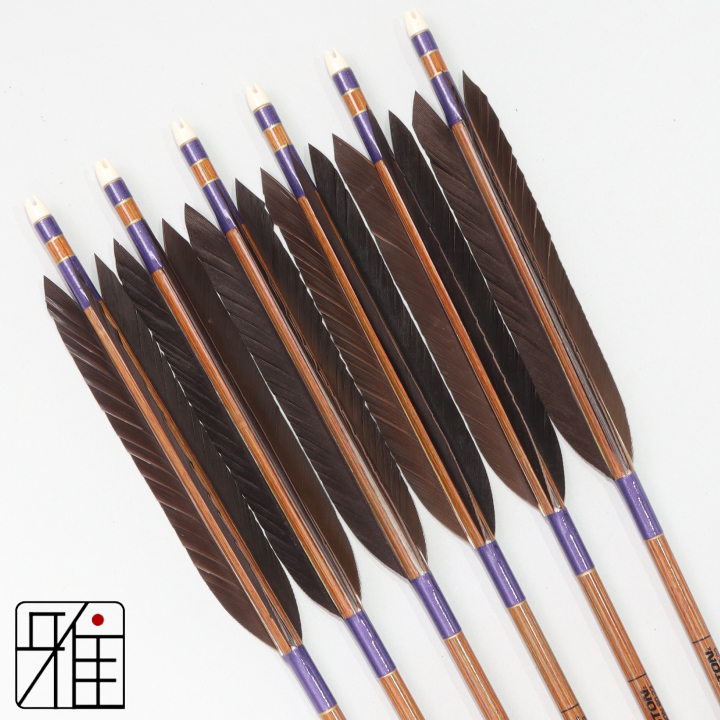 弓道 イーストン カーボン矢 黒手羽 8023|6本組|矧糸:紫系|808202