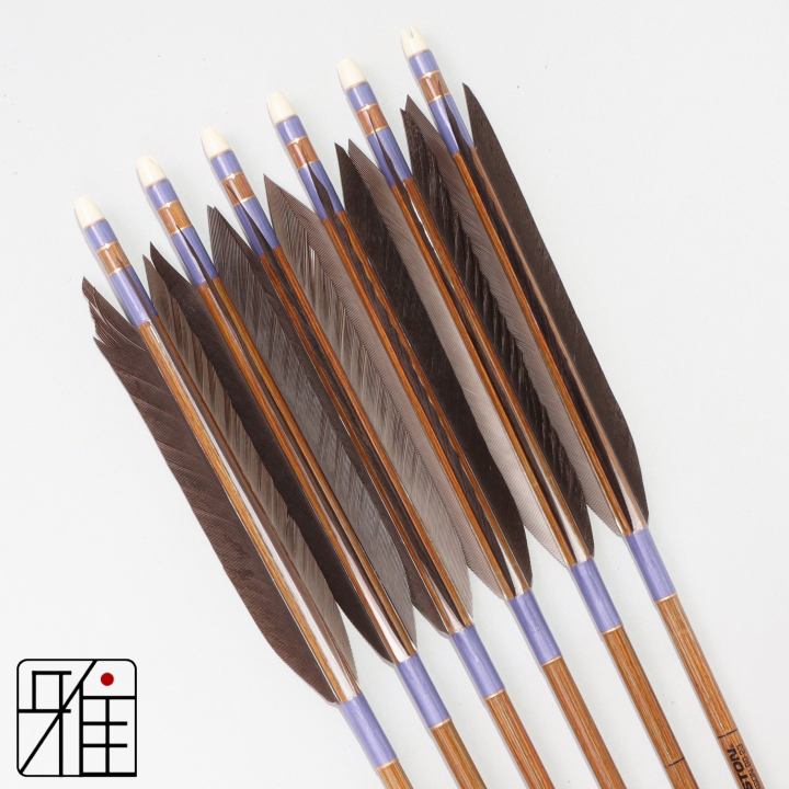 弓道 イーストン カーボン矢 黒手羽 8023|6本組|矧糸:紫系|808206