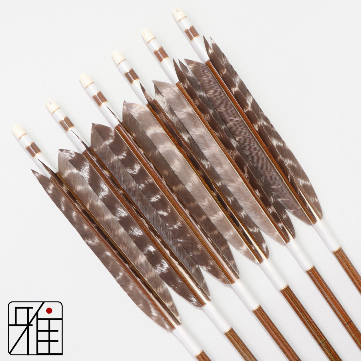 弓道 イーストン カーボン矢 ターキートラ班羽 7620|6本組|矧糸:白系|768100