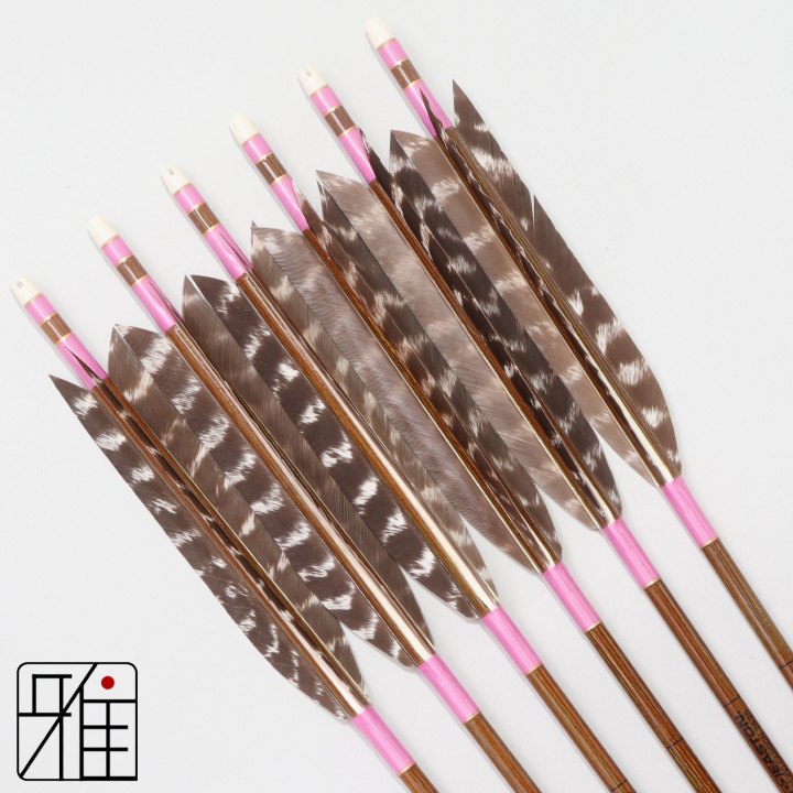 弓道 イーストン カーボン矢 ターキートラ班羽 7620|6本組|矧糸:桃系|768101