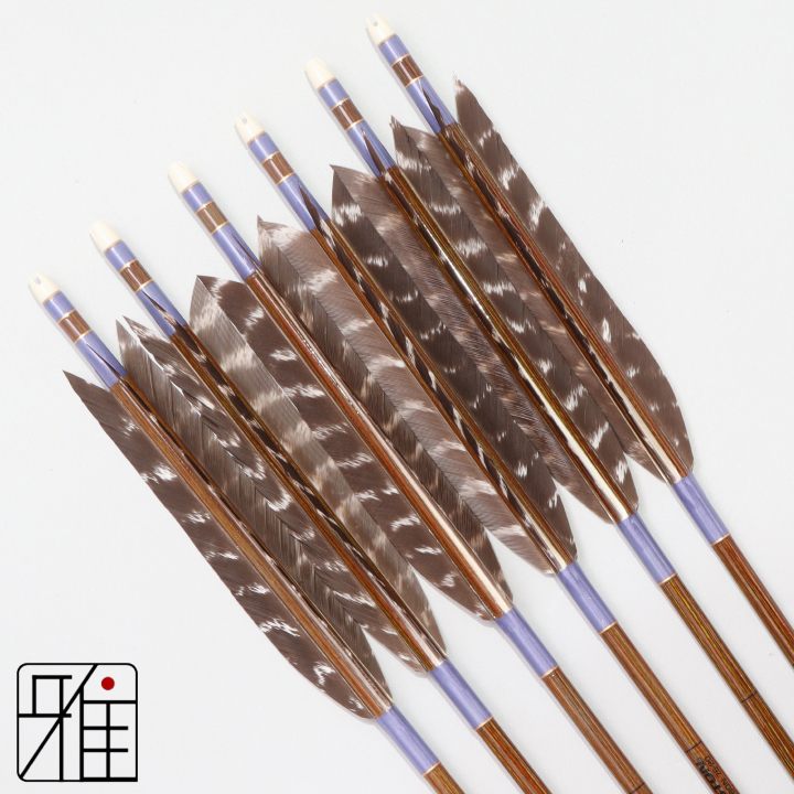 弓道 イーストン カーボン矢 ターキートラ班羽 7620|6本組|矧糸:紫系|768102