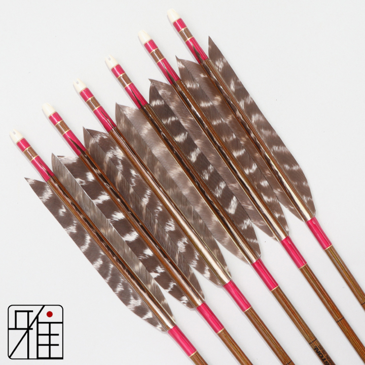 弓道 イーストン カーボン矢 ターキートラ班羽 7620|6本組|矧糸:紫系|768105