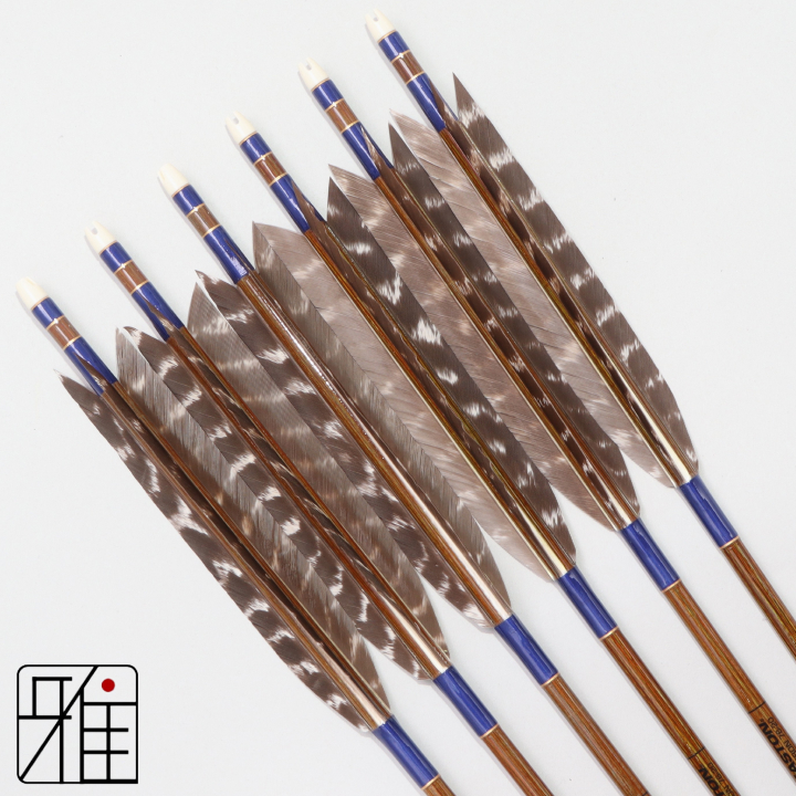 弓道 イーストン カーボン矢 ターキートラ班羽 7620|6本組|矧糸:青系|768106