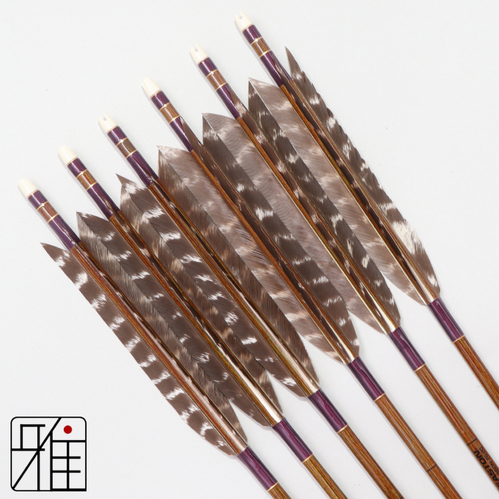 弓道 イーストン カーボン矢 ターキートラ班羽 7620|6本組|矧糸:紫系|768107