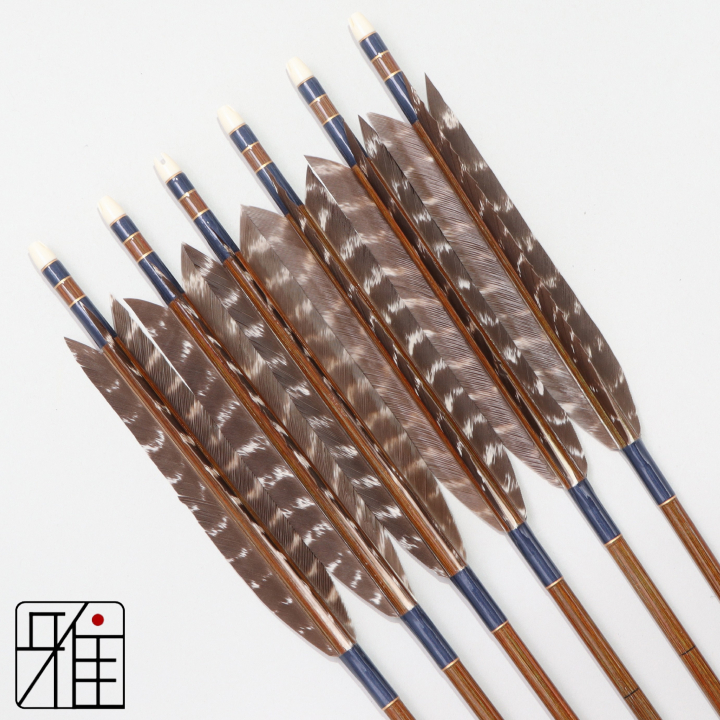 弓道 イーストン カーボン矢 ターキートラ班羽 7620|6本組|矧糸:青系|768110