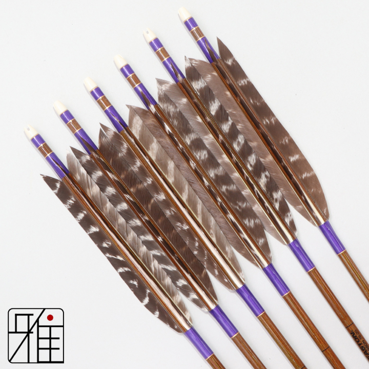 弓道 イーストン カーボン矢 ターキートラ班羽 7620|6本組|矧糸:紫系|768112