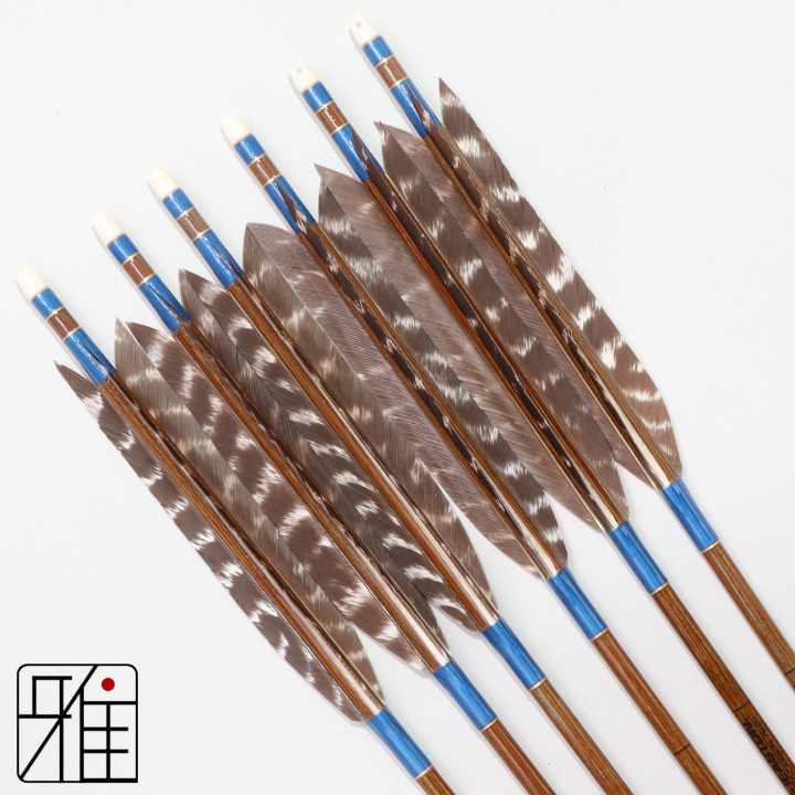 弓道 イーストン カーボン矢 ターキートラ班羽 7620|6本組|矧糸:青系|768113