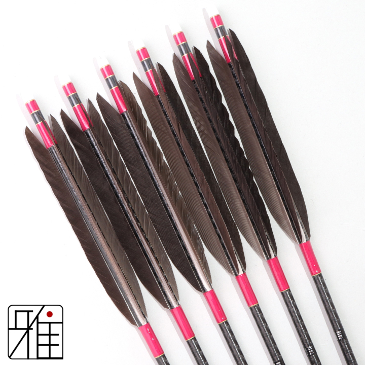 弓道 ミズノ カーボン矢 黒手羽 WENEW 7518|6本組|矧糸:紫系|759601