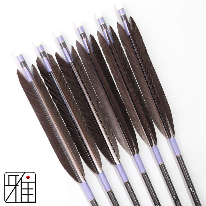 弓道 ミズノ カーボン矢 黒手羽 WENEW 7518|6本組|矧糸:紫系|759604