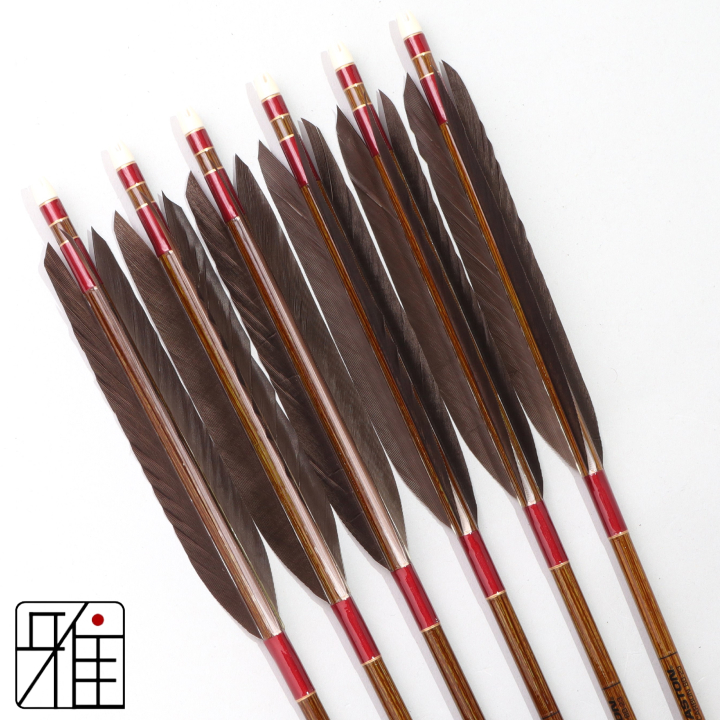 弓道 イーストン カーボン矢 黒手羽 8023|6本組|矧糸:赤系|808224