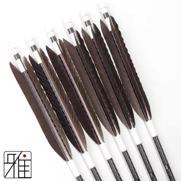 弓道 ミズノ カーボン矢 黒手羽 WENEW 8023|6本組|矧糸:白系|809700