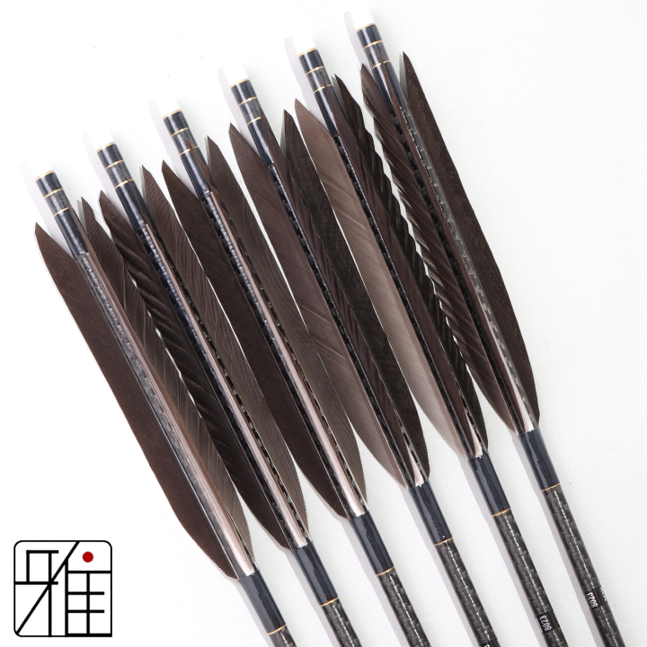 弓道 ミズノ カーボン矢 黒手羽 WENEW 8023|6本組|矧糸:黒系|809701