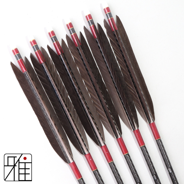 弓道 ミズノ カーボン矢 黒手羽 WENEW 8023|6本組|矧糸:赤系|809702