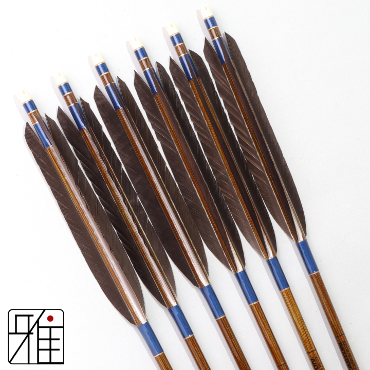 弓道 イーストン カーボン矢 黒尾羽 8023|6本組|矧糸:青系|808229