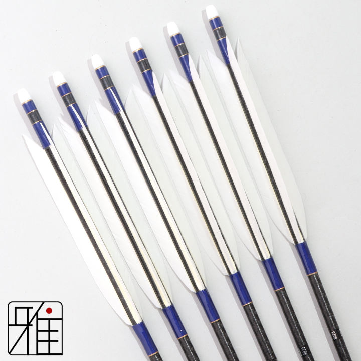 弓道 ミズノ カーボン矢 ターキー白羽 WENEW 8023|6本組|矧糸:青系|809751
