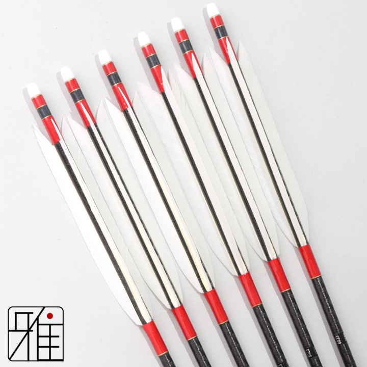 弓道 ミズノ カーボン矢 ターキー白羽 WENEW 8023|6本組|矧糸:赤系|809752