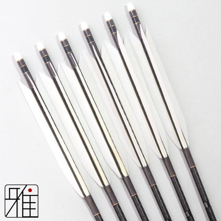 弓道 ミズノ カーボン矢 ターキー白羽 WENEW 8023|6本組|矧糸:灰系|809753