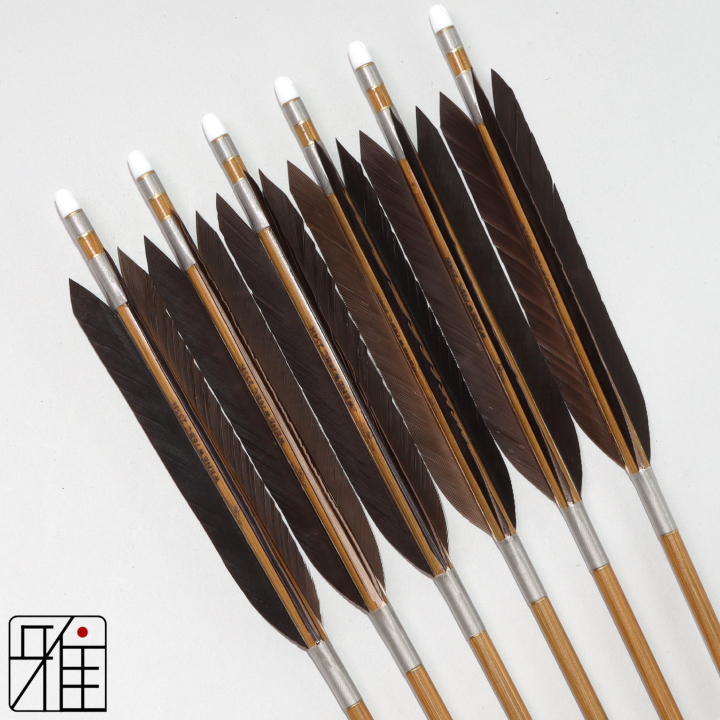 弓道 ミズノ カーボン矢 黒手羽 WENEW 76BC|6本組|矧糸:灰系|769302