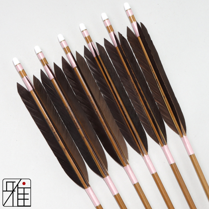 弓道 ミズノ カーボン矢 黒手羽 WENEW 76BC|6本組|矧糸:桃系|769303