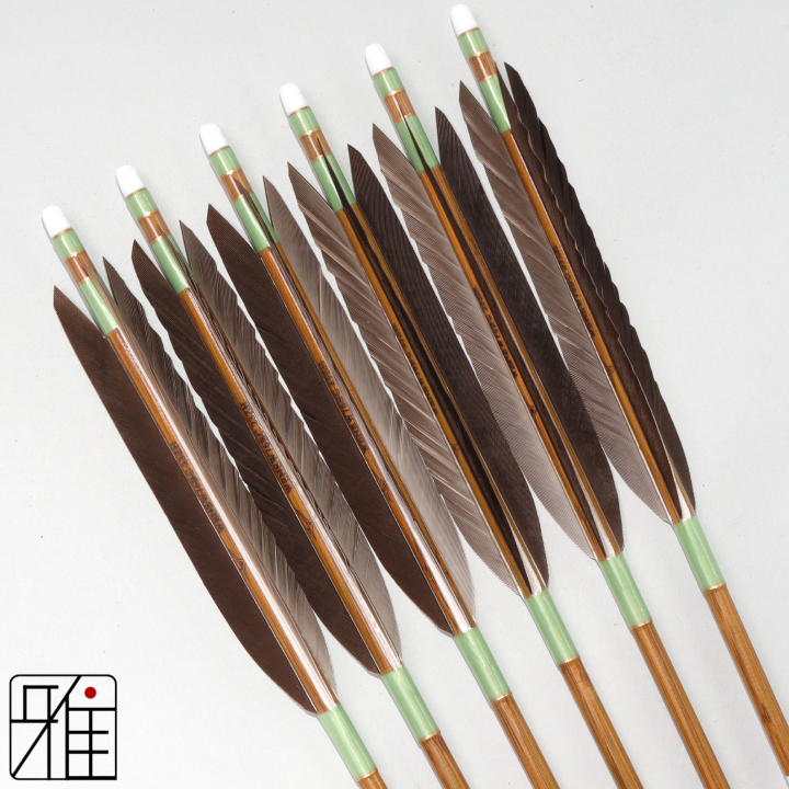 弓道 ミズノ カーボン矢 黒手羽 WENEW 76BC|6本組|矧糸:緑系|769304