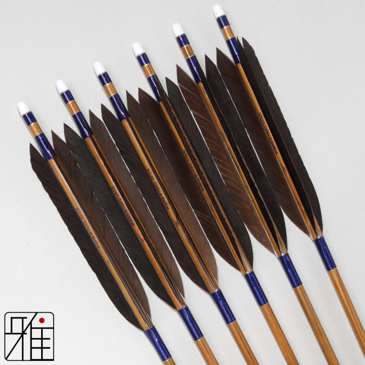 弓道 ミズノ カーボン矢 黒手羽 WENEW 76BC|6本組|矧糸:青系|769305