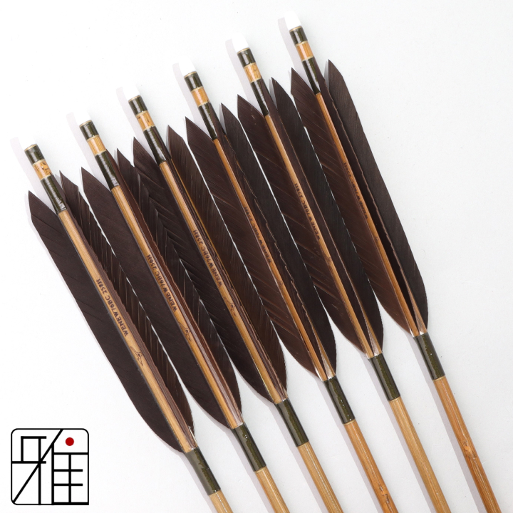 弓道 ミズノ カーボン矢 黒手羽 WENEW 76BC|6本組|矧糸:緑系|769306