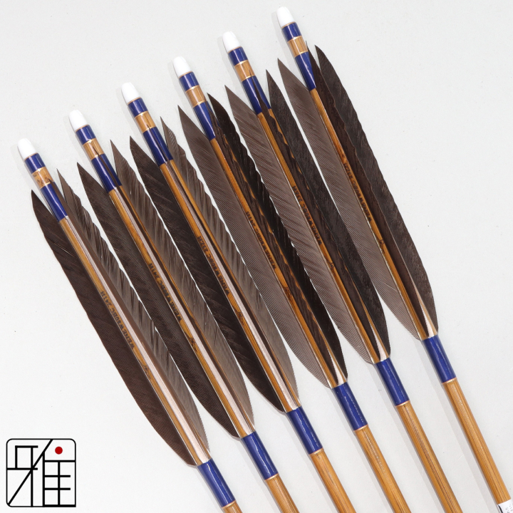 弓道 ミズノ カーボン矢 黒手羽 WENEW 80BC|6本組|矧糸:青系|809402