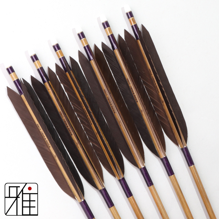 弓道 ミズノ カーボン矢 黒手羽 WENEW 80BC|6本組|矧糸:紫系|809405