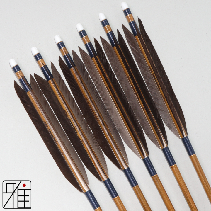 弓道 ミズノ カーボン矢 黒手羽 WENEW 84BC|6本組|矧糸:青系|849502