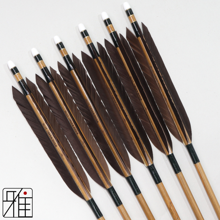 弓道 ミズノ カーボン矢 黒手羽 WENEW 84BC|6本組|矧糸:緑系|849503