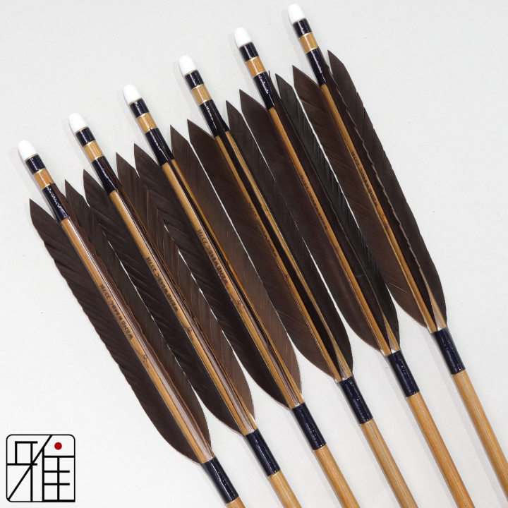 弓道 ミズノ カーボン矢 黒手羽 WENEW 84BC|6本組|矧糸:青系|849504