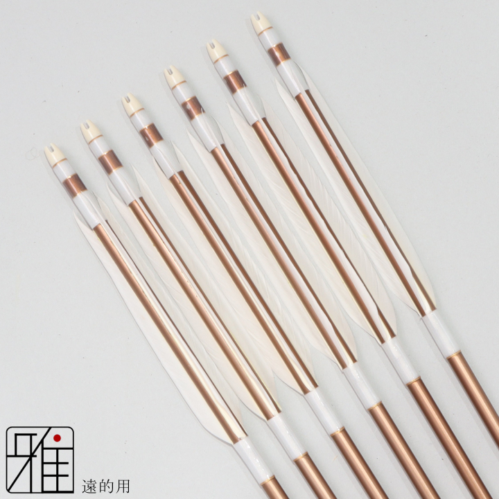 弓道 ジュラ矢 遠的矢 ホワイトグース 1913茶|6本組|矧糸:白系|197105