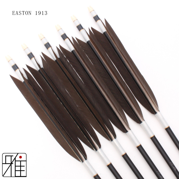 EASTON xx75 1913 95cm 弓道矢 6本矢筒セット 弓道 ジュラ矢1913 6本 & 矢筒
